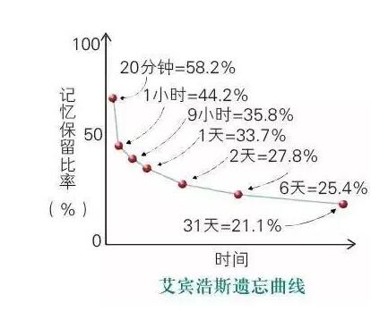 最强大脑培训机构